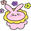 더 클래식 양산 이미지