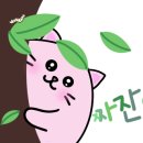 첼로사진예술원 이미지
