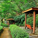 산호동136 이미지