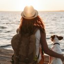 아라동물병원 이미지