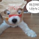 다농마트 - 북구 | 다농마트