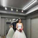 인천 벨라제이 촬영 드레스 피팅 후기 7벌 입어보고 고른 최종 선택 (솔직 비교)
