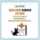 살구펫 | 3세 말티즈 라떼 엄마가 가입해본 마이브라운 펫보험 리얼후기
