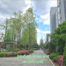 중로(보)1-1-10 이미지