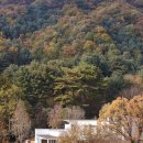 웰하우스 종합건축사사무소 이미지