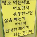 [북부] 다이어트댄스 A(2025) | 천안) 운동맛집 - 신방동 더블엑스짐