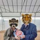 강부자 농장 이미지