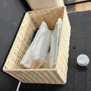 서프업 | 고성에서 서핑, 카페, 포차까지 다 한번에 가능하다고 ? 서프 61 솔직후기