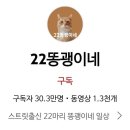 고양이 22마리 구조한 유튜버가 후원을 안받는 이유 이미지