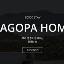 가고파그집 이미지