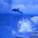 장생포고래박물관 이미지