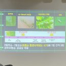 표선면사무소 이미지