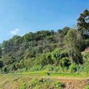 KS공인중개사사무소 이미지