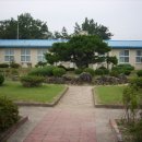 삼성중학교 Daum카페