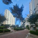 트리비앙상가 주차장 이미지