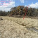 황새울목장 이미지