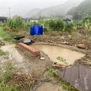 정아미장 이미지