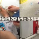 백호켄넬 이미지