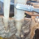 비치하임펜션 이미지