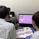 경기도 북부동물위생시험소 이미지