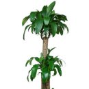 한빛 꽃농원 이미지