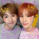 경 🤎🐶NCT 정우 달글🐶🤎 제 2회 오댕조사 축 이미지