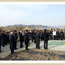 맹당 이미지