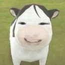 리엑스코리아 | 인생은 원래 괴롭고 욕심 부리면 더 괴로움.. &amp; 8월 먹금하고 9월이나 들어와