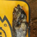 한수중학교 이미지