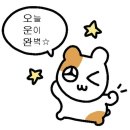 크로스핏 진주 이미지