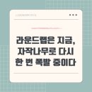 “독도토너로 끝난 줄 알았지? 지금 라운드랩에서 제일 잘 나가는 건 따로 있다”
