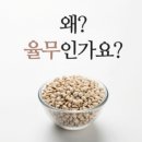 (주)메디율 이미지