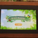 반석산에코스쿨 이미지