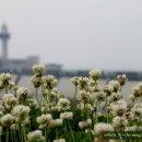 자연쉼터 이미지