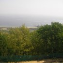 22사단 가는길 이미지