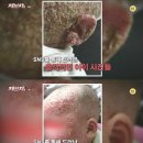 물카페 이미지