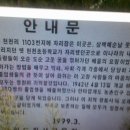 현천초 이미지