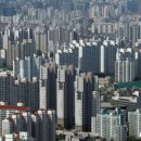 머니부동산공인중개사사무소 이미지