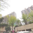 현대8호 이미지