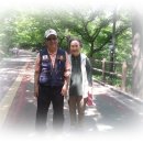 물소리길가 이미지