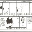 [E. 노먼 피어슨] 시공과 자아의식(3) 이미지