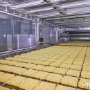 삼양식품(주) 밀양공장 이미지