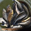 가산낚시터 이미지