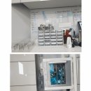 미소연치과의원 네이버블로그