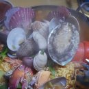 갈매기 마을 이미지