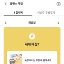 해돋이슈퍼 이미지