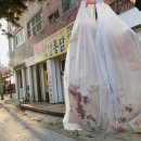 옛날통닭새벽닭 이미지