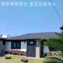 제주독채펜션돌집감성숙소돌담점 이미지
