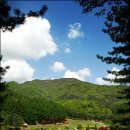 하늘동화 이미지