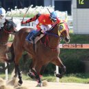 렛츠런파크 부산경남 | 렛츠런파크 부산경남에 다녀왔어요 ☺️